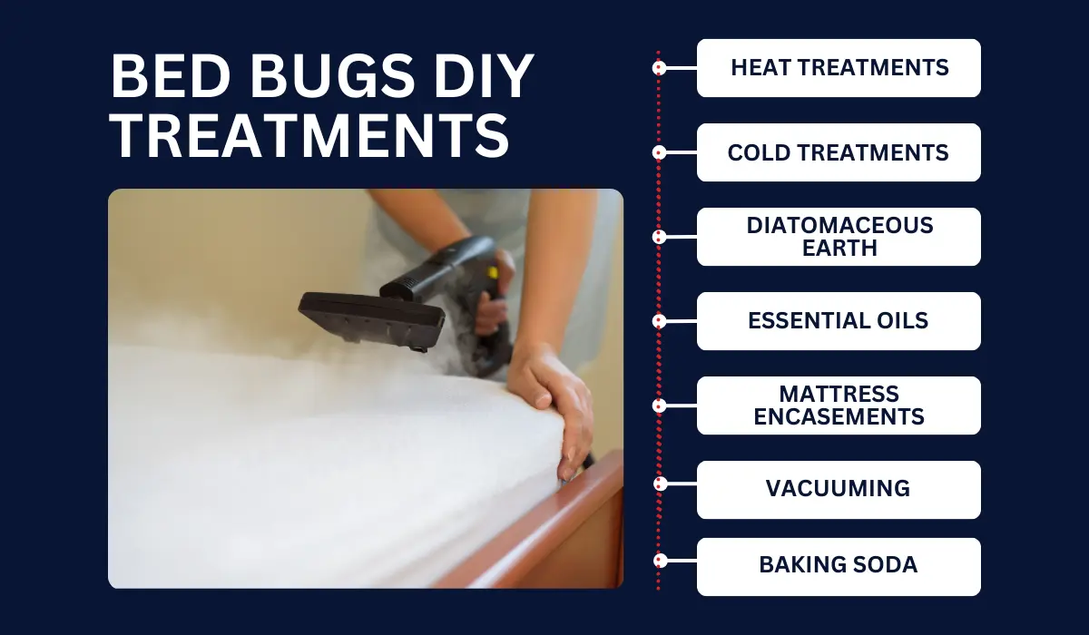 DIY for Bed Bug Control: Does It Work? | LaJaunie's Pest Control