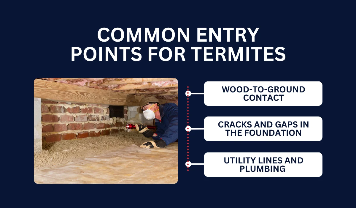 COMMON ENTRY POINTS FOR TERMITES