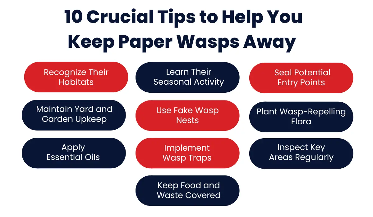 HOW TO GET RID OF PAPER WASPS