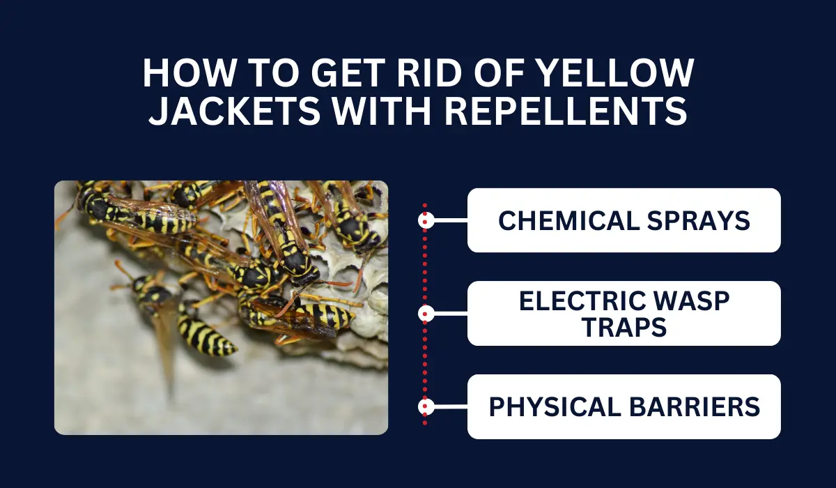 HOW TO GET RID OF YELLOW JACKETS WITH REPELLENTS