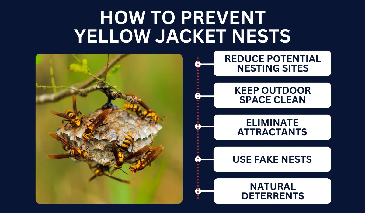 HOW TO PREVENT YELLOW JACKET NESTS