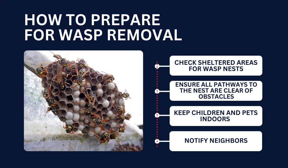 How to Prepare for Wasp Removal