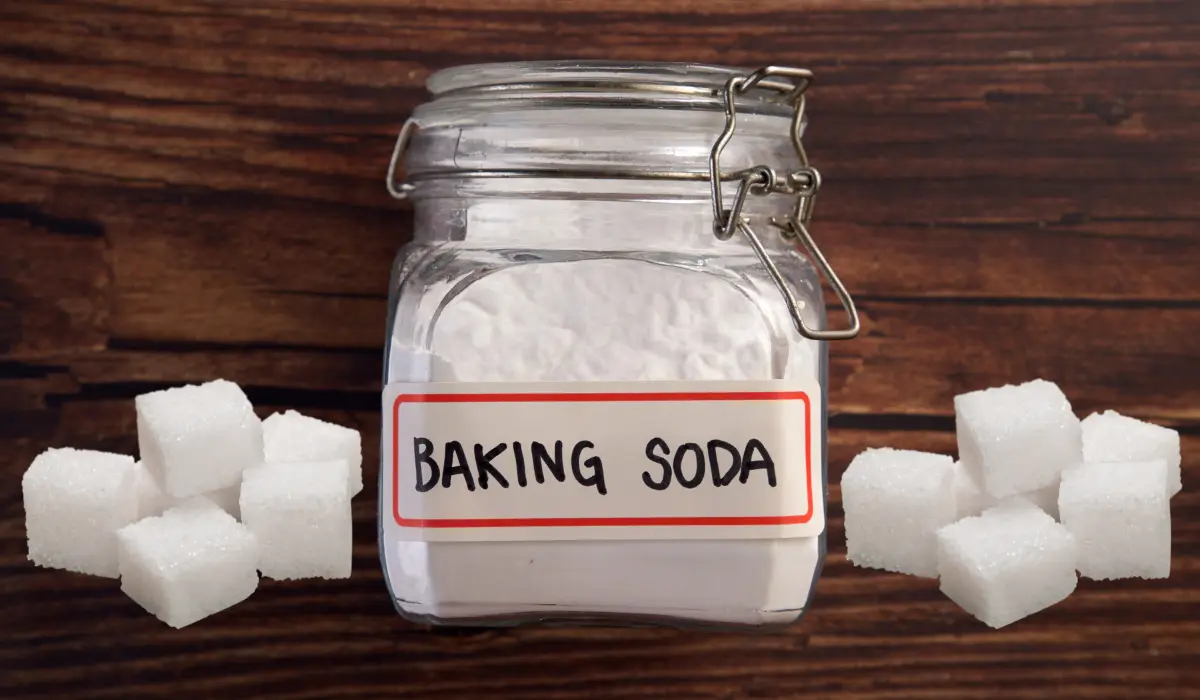 Baking Soda And Sugar Bait