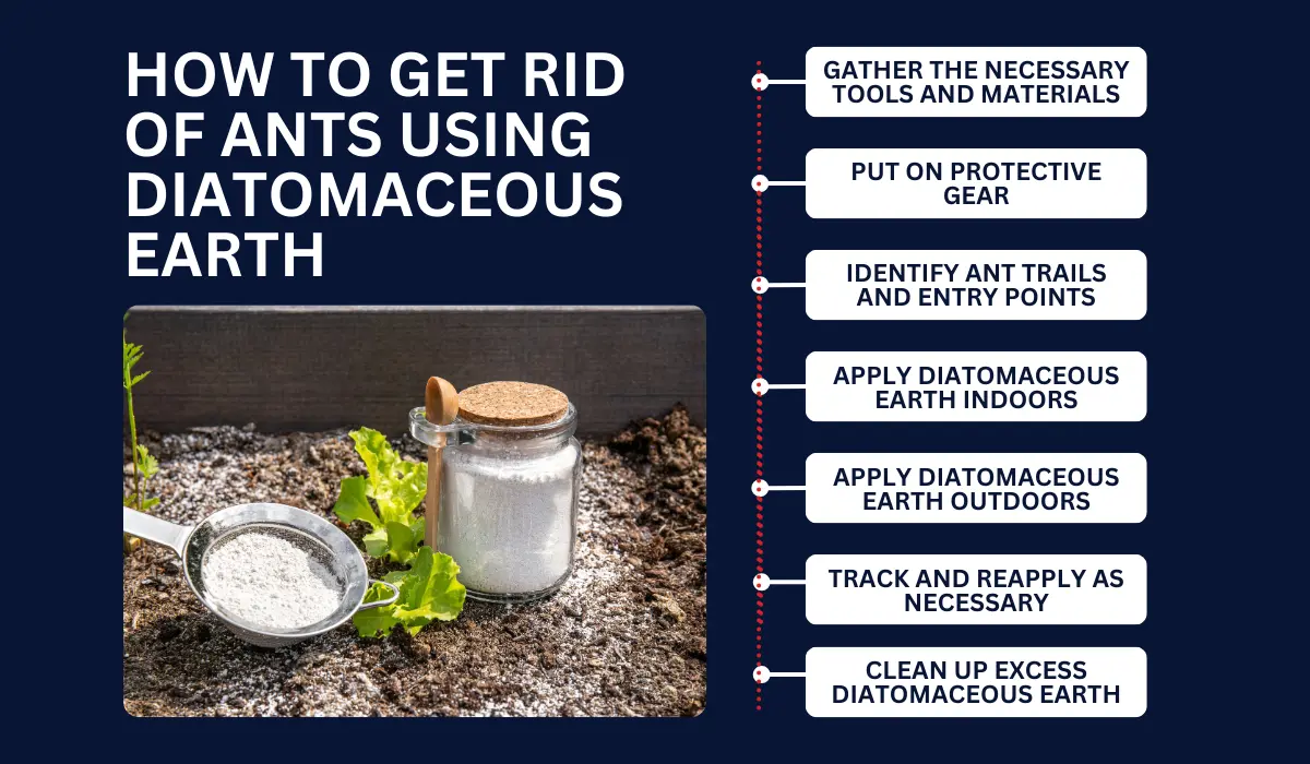 HOW TO GET RID OF ANTS USING DIATOMACEOUS EARTH