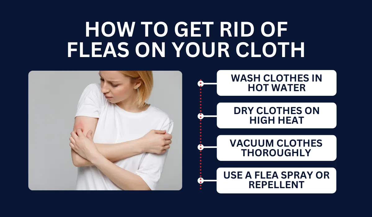 HOW TO GET RID OF FLEAS ON YOUR CLOTHES