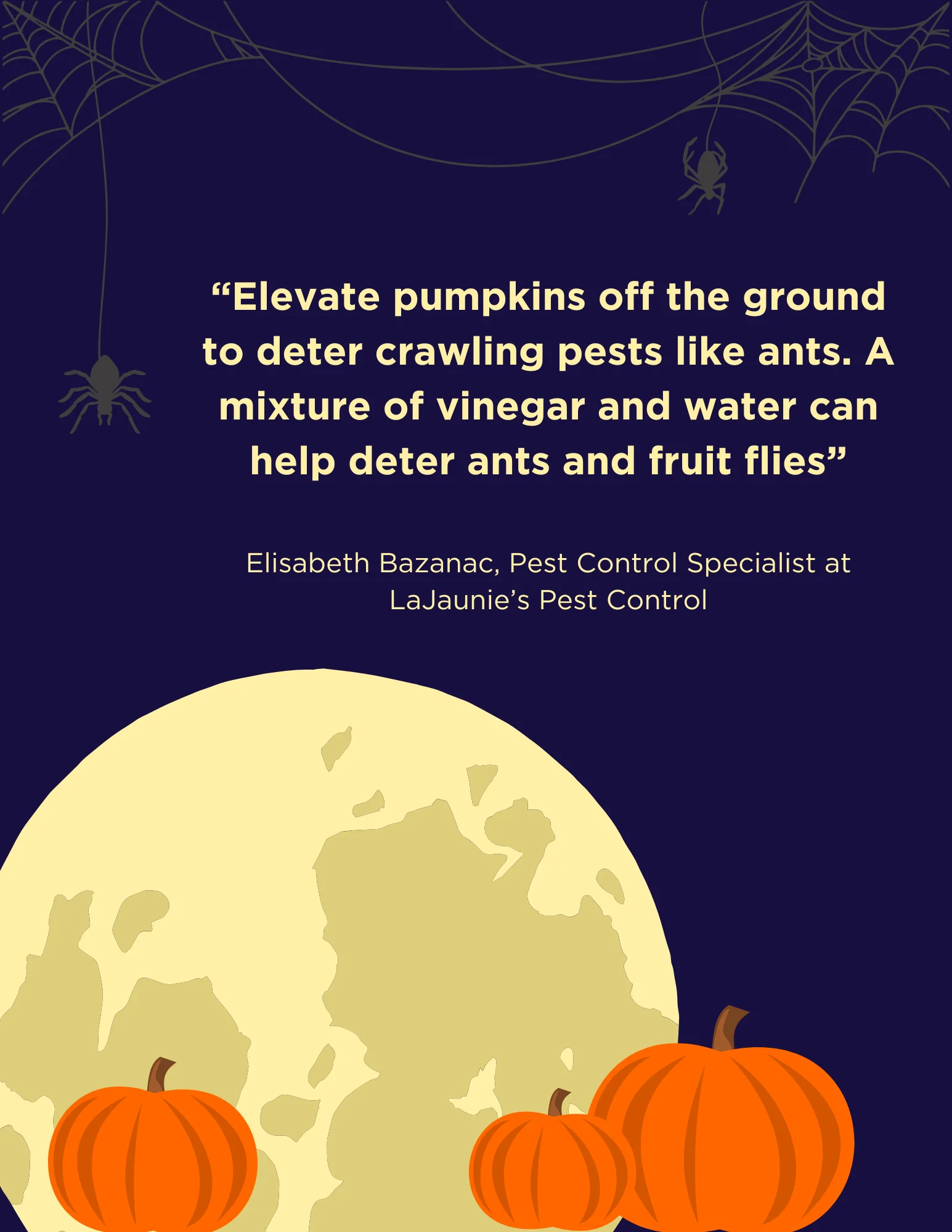 tips for decorating to keep pest away this Halloween