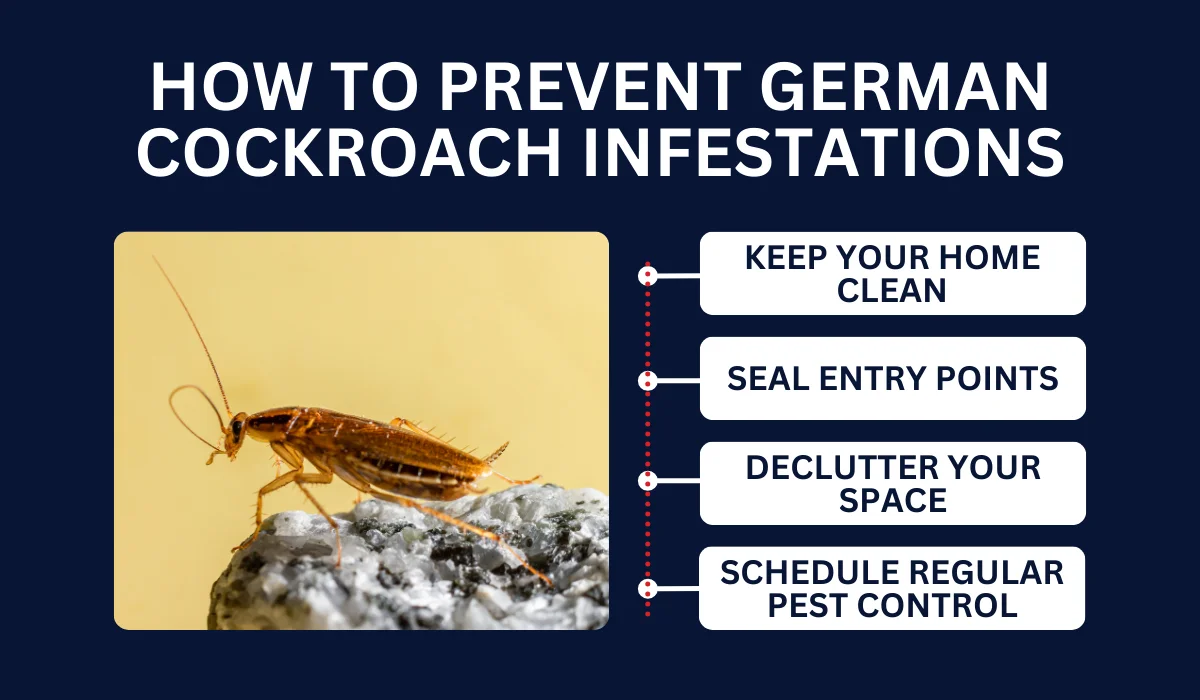 PREVENT GERMAN COCKROACH