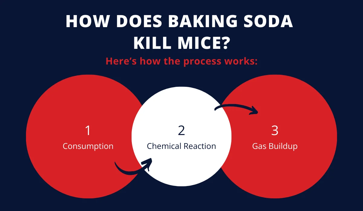 baking soda mice (1)