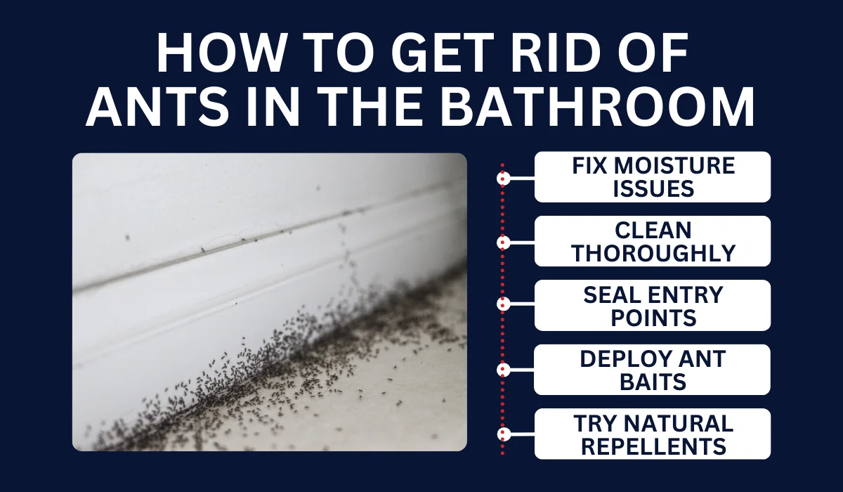 HOW TO GET RID OF ANTS IN THE BATHROOM