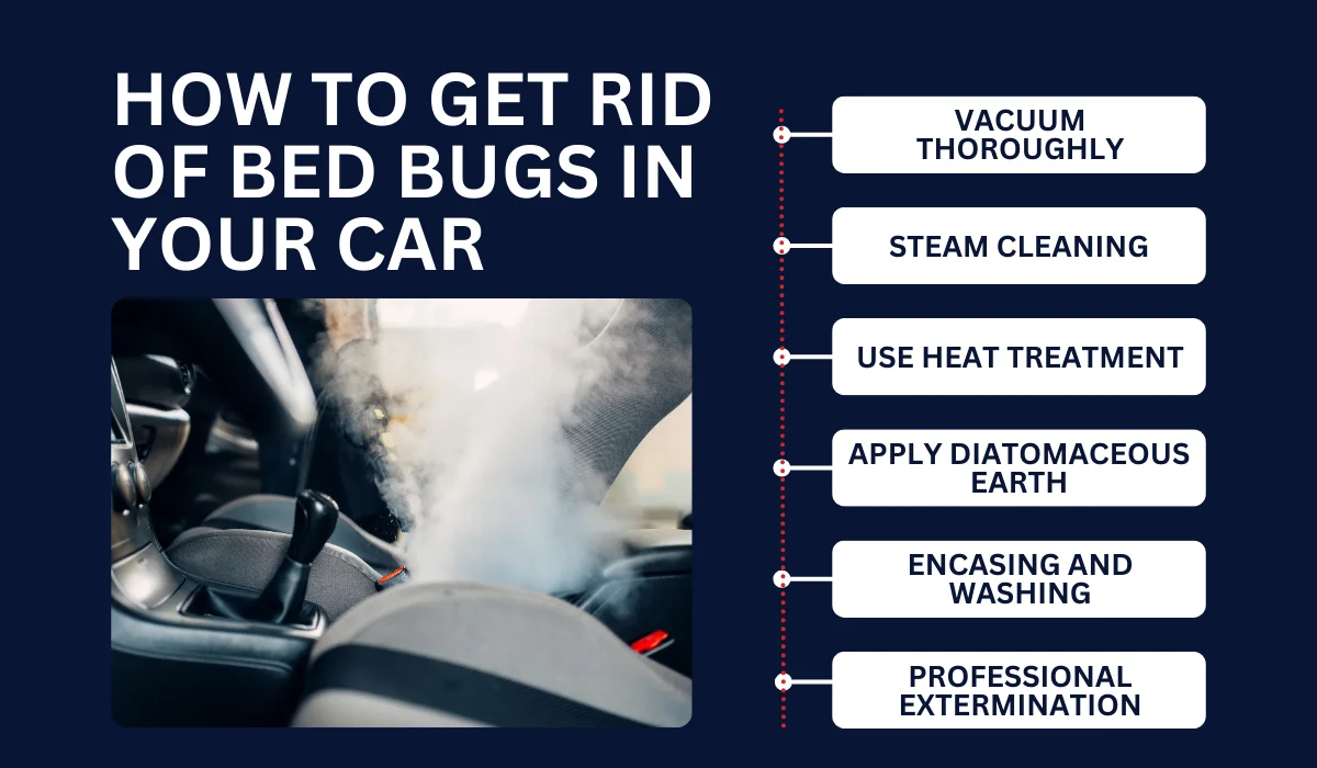 HOW TO GET RID OF BED BUGS IN YOUR CAR