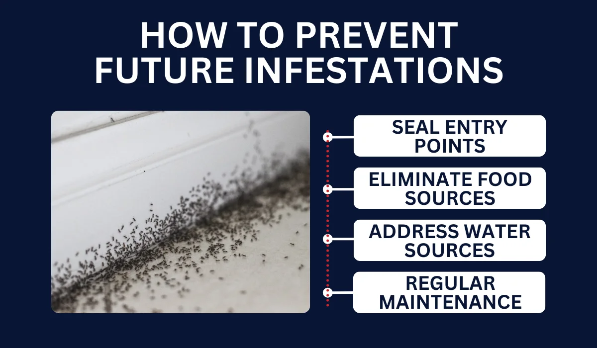 HOW TO PREVENT FUTURE INFESTATIONS