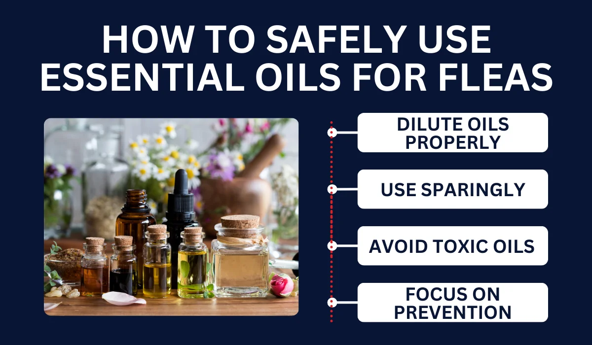 HOW TO SAFELY USE ESSENTIAL OILS FOR FLEAS