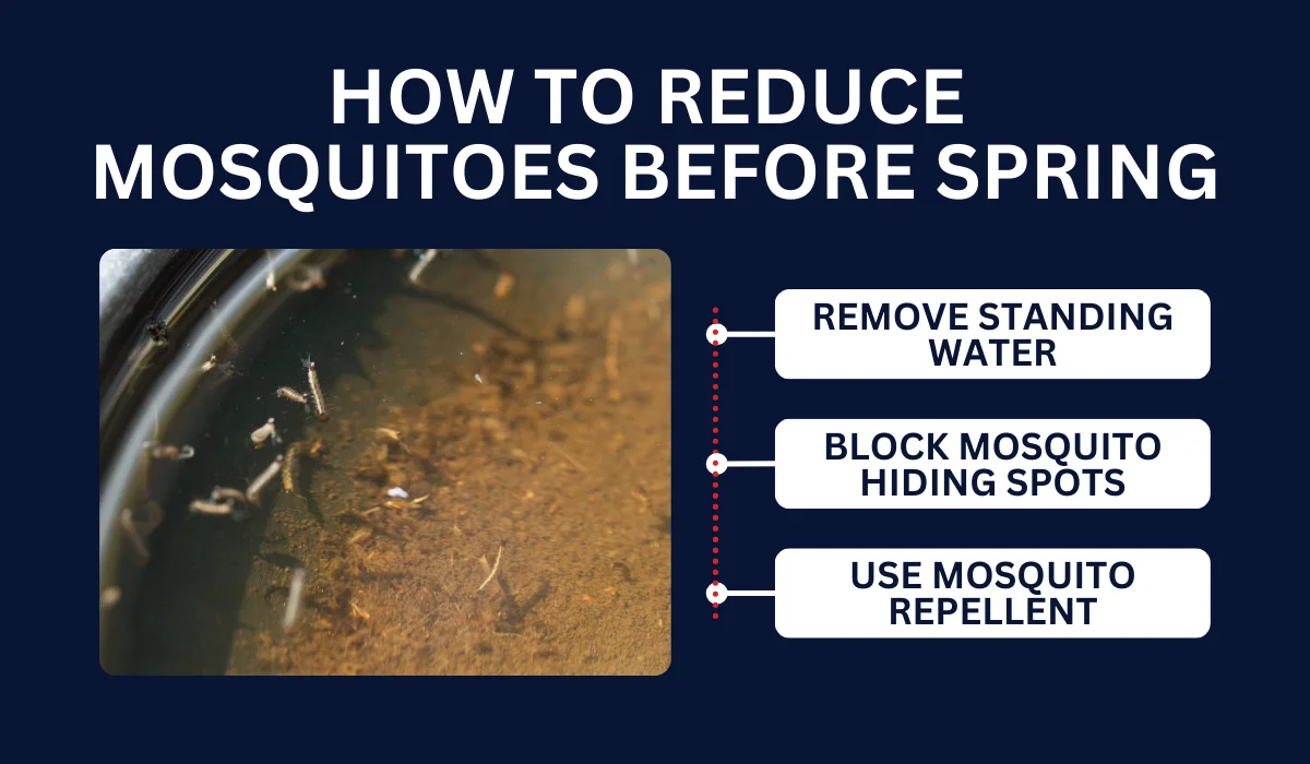 HOW TO REDUCE MOSQUITOES BEFORE SPRING