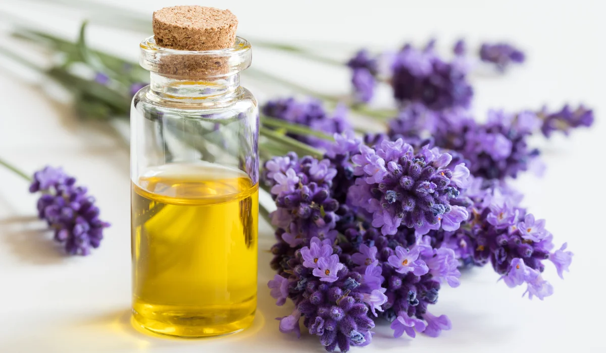 lavender oil