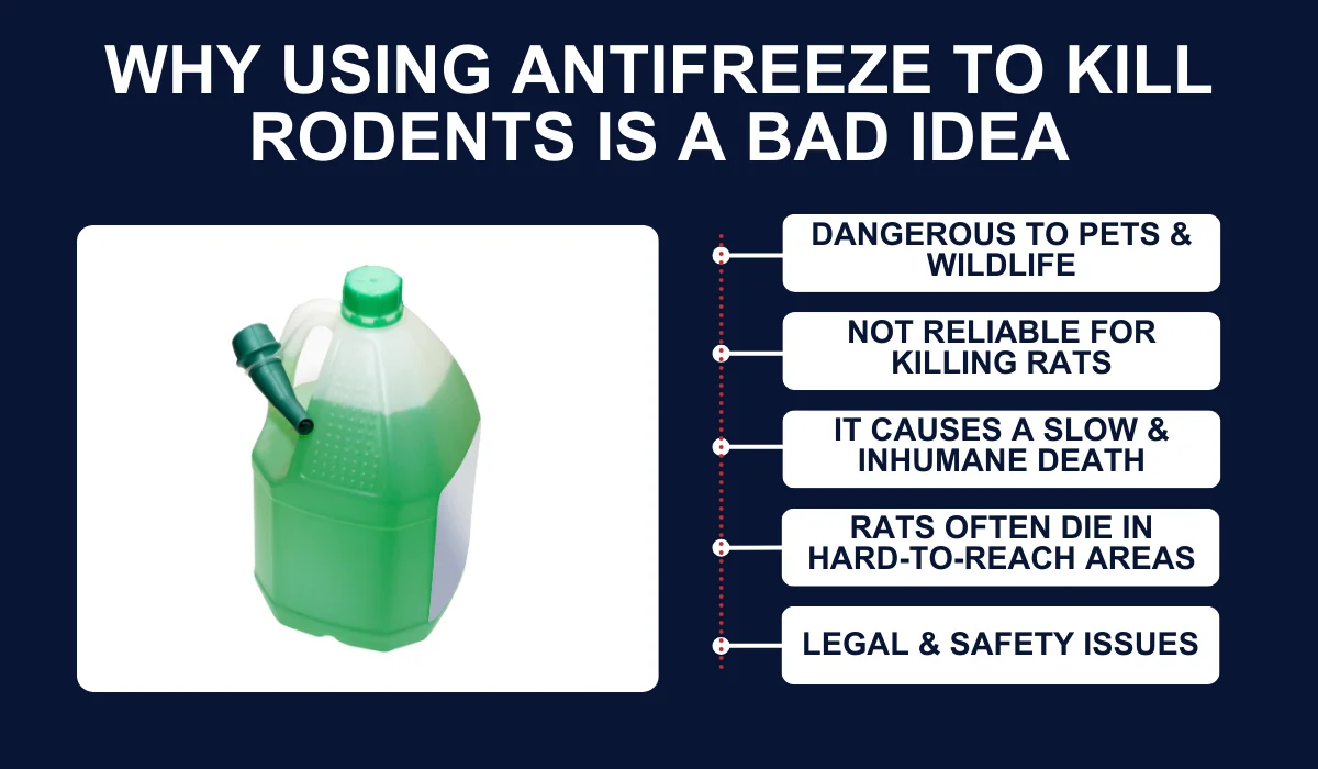 WHY USING ANTIFREEZE TO KILL RODENTS IS A BAD IDEA